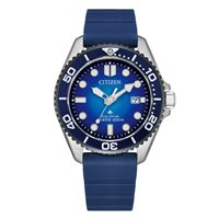 Armbanduhr Citizen Herr Promaster in Stahl BN0267-04L